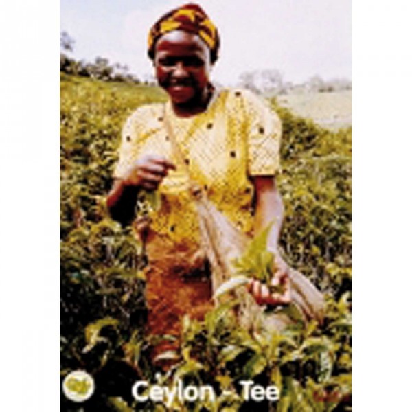 Plakat Tee A3 Motiv Ceylon